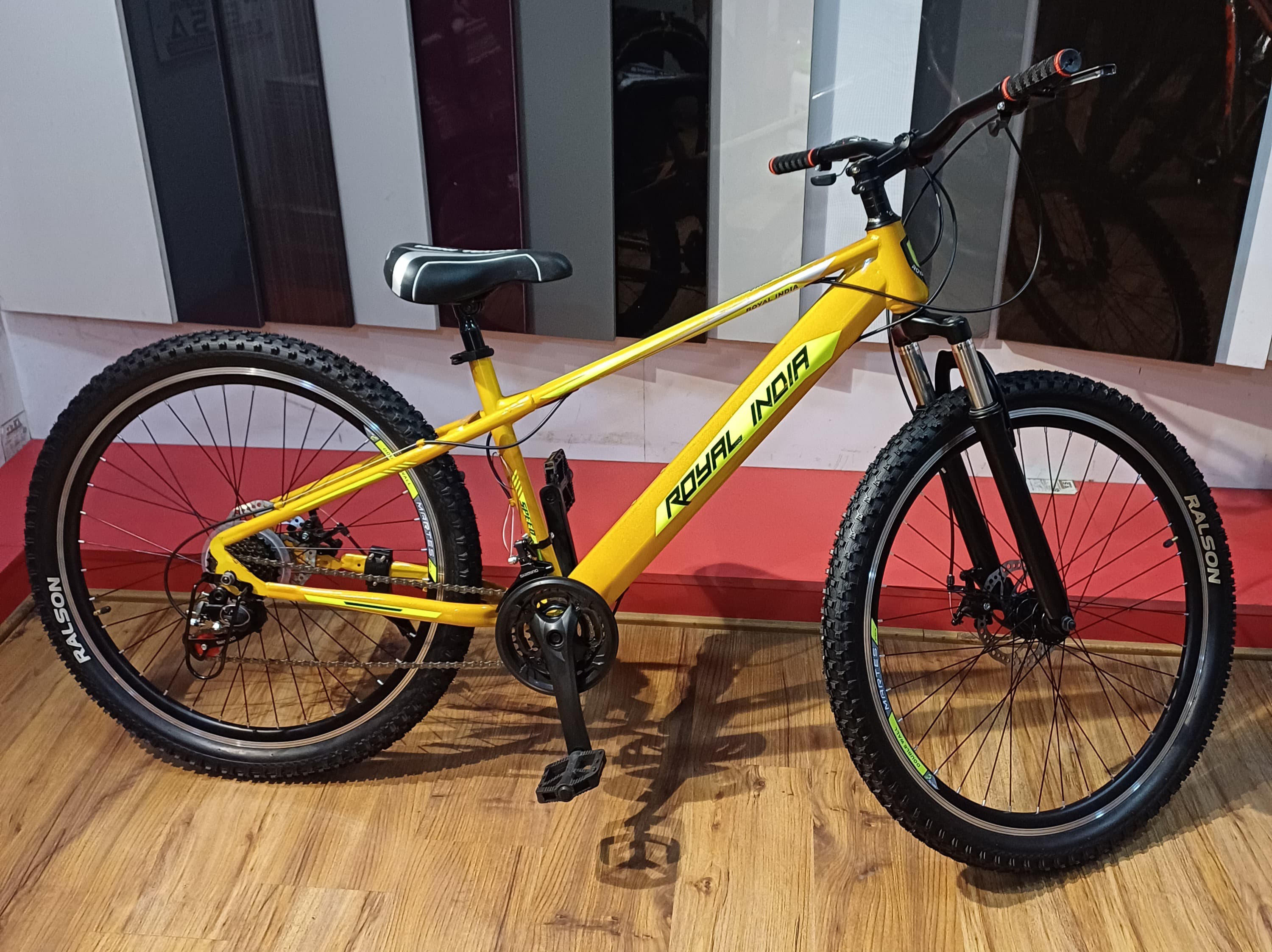 Mountain Bike